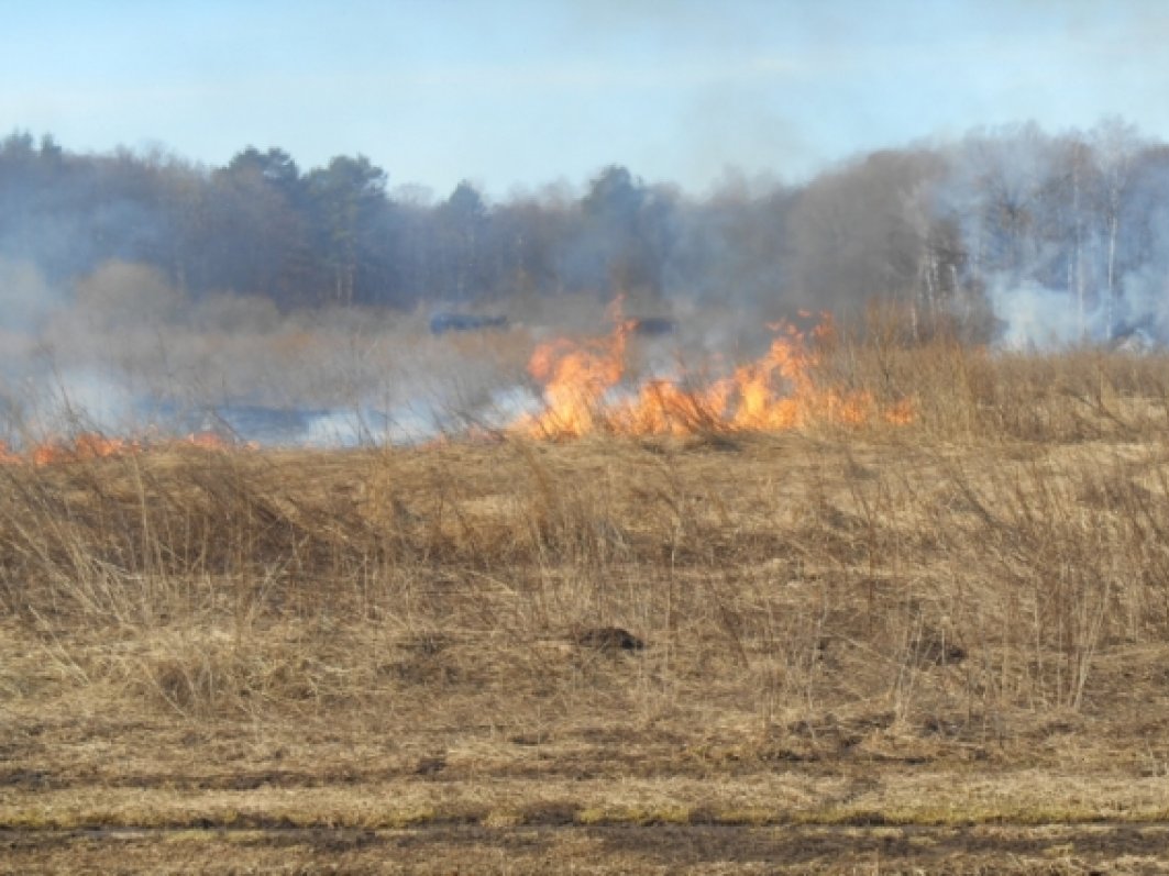 На территории Кировской области установлен особый противопожарный режим.