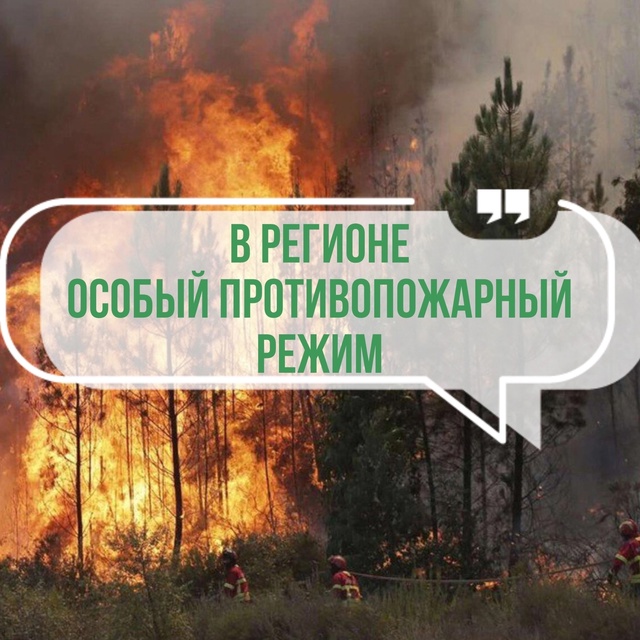 установлен особый противопожарный режим на территории Кировской области..