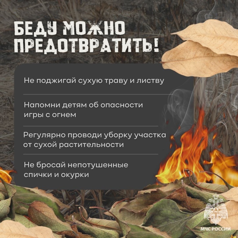 Особый противопожарный режим. Что можно и что нельзя.