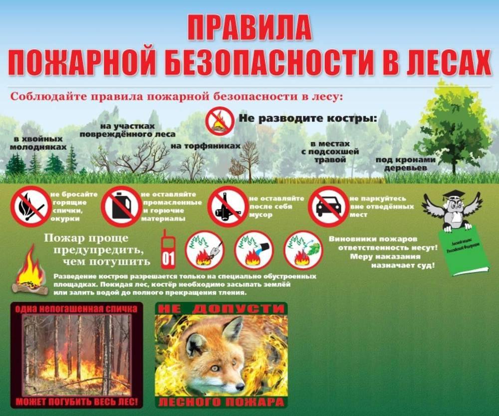 Правила пожарной безопасности при нахождении в лесных массивах.
