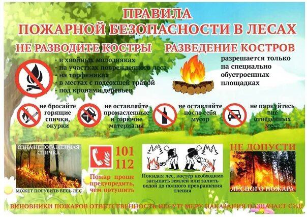 ВНИМАНИЕ!  В ПОЖАРООПАСНЫЙ ПЕРИОД ВОЗДЕРЖИТЕСЬ ОТ ПОСЕЩЕНИЯ ЛЕСА.