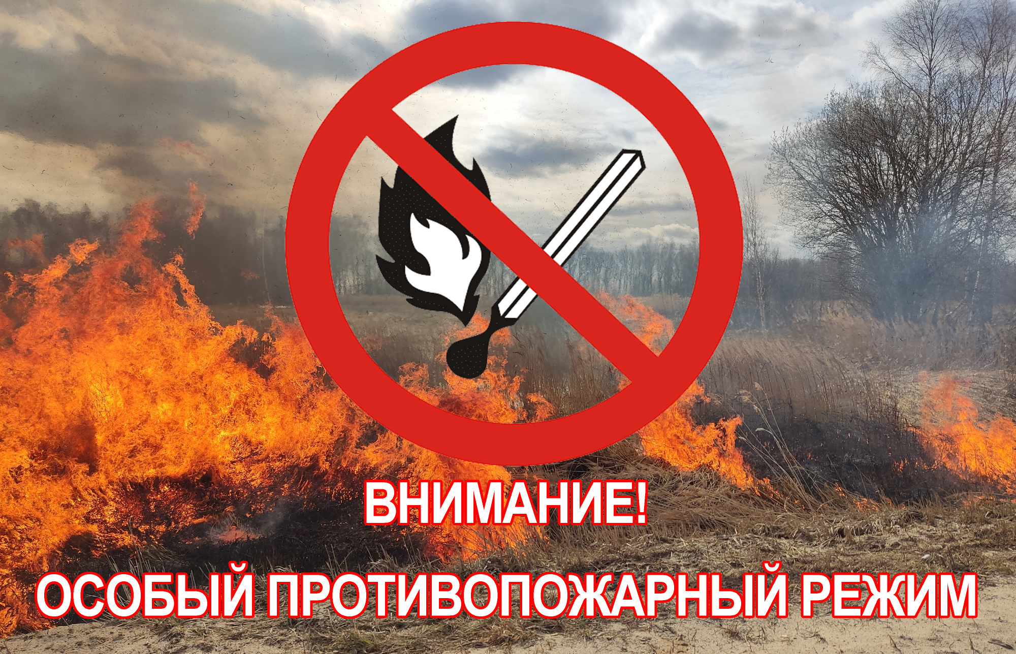 Об установлении особого противопожарного режима в лесах Кировской области!!!.