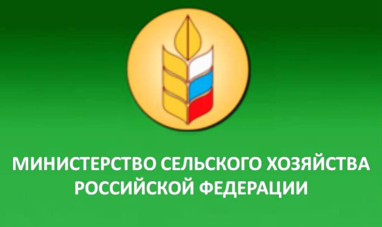 Подготовка высококвалифицированных педагогических кадров для сельских территорий и малых городов. Подготовка высококвалифицированных педагогических кадров для сельских территорий и малых городов.