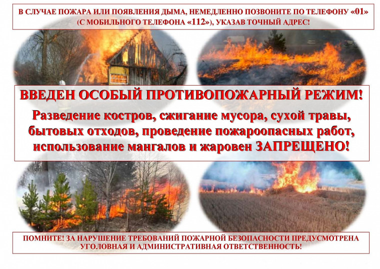 ПАМЯТКА гражданам в условиях особого противопожарного режима. ПАМЯТКА гражданам в условиях особого противопожарного режима.