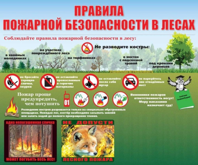Правила пожарной безопасности при нахождении в лесных массивах. Правила пожарной безопасности при нахождении в лесных массивах.