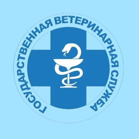 Об эпизоотической ситуации по АЧС. Об эпизоотической ситуации по АЧС.