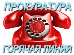 Прокуратура горячая линия. Прокуратура горячая линия.
