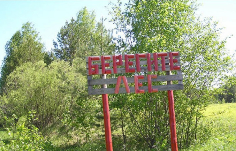 В лесах Кировской области установлен особый противопожарный режим. В лесах Кировской области установлен особый противопожарный режим.